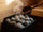 Do You Pour Water on Sauna Stones? Löyly Explained